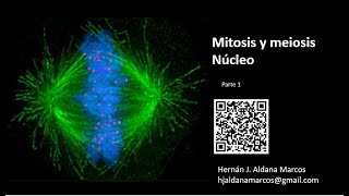 Mitosis y meiosis Parte 1 Hernán Aldana [upl. by Cortney796]