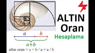 Altın Oran Hesabı  Golden Ratio Calculation  1618  Fi sayısı  Altın Oran Hesaplama [upl. by Nyrat]