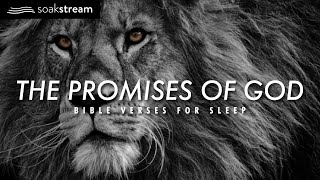 The Promises of God  Bible Verses For Sleep [upl. by Sayers]