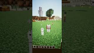 Siekiera motykamusic fyp dc foryouminecraftgamingcat dog krowa short minecraftbuilding [upl. by Heyra]