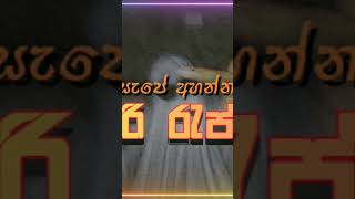 Best Sinhala rap collection 2024 aluthsindu music amazingphonk dawasakewi [upl. by Linis436]