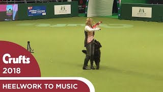 Heelwork to Music Competition Part 3  Crufts 2018 [upl. by Orban]