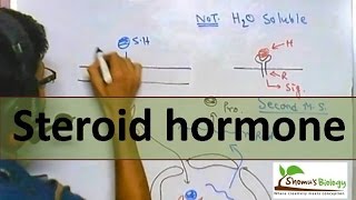 Steroid hormone mechanism of entry [upl. by Elodia]