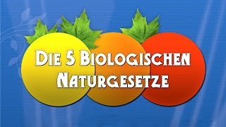 Die 5 Biologischen Naturgesetze  Die Dokumentation [upl. by Attelocin]