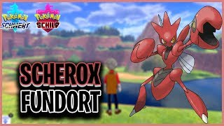 SCHEROX Fundort in Pokemon Schwert amp Schild [upl. by Najtsirk202]