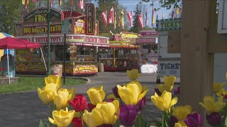 67th annual Tulip Fest kicks off in Holland [upl. by Bathulda421]