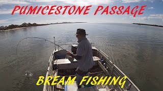 Bream Fishing Pumicestone Passage 29th June 2024 [upl. by Artied]