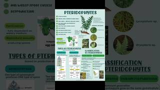 Pteridophytes  Plant kindgom  biology class11th plant  Manan Sachdeva  Bio Archives [upl. by Vera231]