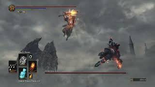 Dark Souls 3 The Nameless King cant take the heat [upl. by Alden]