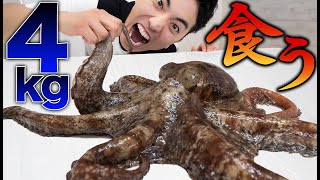 【大食い】4kgの生きた巨大タコを丸ごと食べたらうますぎた！！【モッパン】 [upl. by Davie]