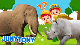 Los Animales Terrestres Más Grandes  Elefante Rinoceronte  JunyTony en español [upl. by Iolenta]