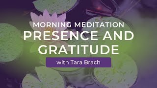 Morning Meditation Presence and Gratitude with Tara Brach [upl. by Engis436]