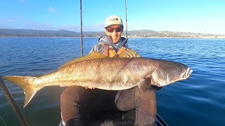 Chasing MASSIVE School of HUGE Seabass on My Kayak [upl. by Bathesda]