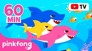 Baby Shark Dance More and More  Doo Doo Doo 60 Min  Baby Shark NonStop  Pinkfong Songs for Kids [upl. by Winser]