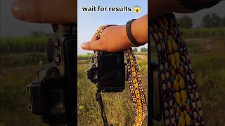 Nikon d5600 photography 2024 🤯 trending shortsvideo youtubeshorts dslr nikon [upl. by Braunstein]