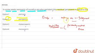 In some seeds remanats of nucellus are also perisstent this residual persistent nucellus is the [upl. by Ainad]