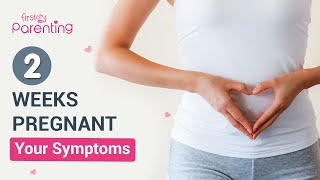 2 Weeks Pregnancy Symptoms  Know the Very Early Signs of Pregnancy [upl. by Tlaw419]