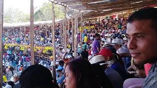 Corralejas Sampués Sucre 2019 [upl. by Aynekal386]