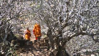 CHAMPASAK laos pakse bolivan plateau wat phou [upl. by Cirenoj]