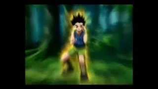 amv hunter x hunter final greed island [upl. by Lepley]