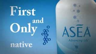 What is ASEA [upl. by Harberd788]