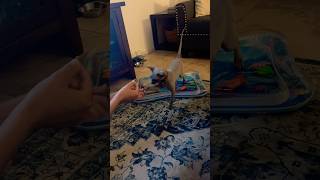 When you teach your cat how to shake 🤚 sphynx trending cat love viralvideo [upl. by Friedlander344]