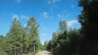 Kaibab N Forest Road 425 South of Fredonia Arizona [upl. by Asle]