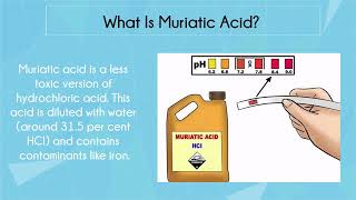 What Is Muriatic Acid and Is It Safe For Home Cleaning [upl. by Anya]