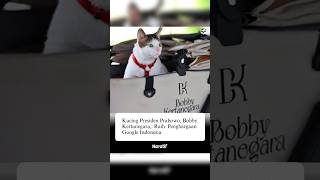 Kucing Presiden Prabowo Bobby Kertanegara Raih Penghargaan Google Indonesia [upl. by Stevena20]