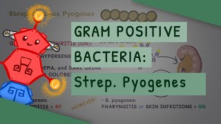 Gram Positive Bacteria Streptococcus Pyogenes [upl. by Naejamron624]