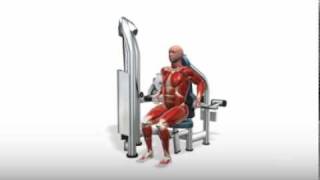 Exercise Videos Seated Dips  Triceps Press [upl. by Nilhsa307]