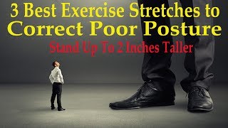 3 Best Exercise Stretches to Correct Poor Posture Stand Up To 2 Inches Taller  Dr Mandell DC [upl. by Trauts]