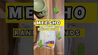 Metallic paint Review ✨✨meeshohaul meeshofinds [upl. by Os]