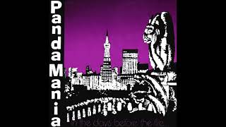 PANDAMANIA  Just A Boy 1987 Pop Rock amp AOR [upl. by Goth]