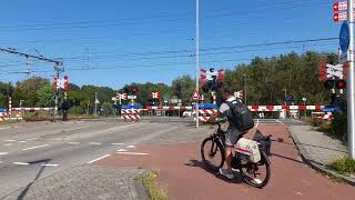 Spoorwegovergang HalfwegZwanenburg  Dutch railroad crossing [upl. by Nahtam]