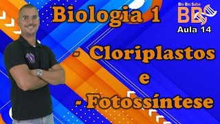 aula14  Citologia  Cloroplasto e fotossíntese [upl. by Dittman200]