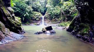 Cataratas de Tarapoto  Pishurayacu y Ahuashiyacu Ruta costos y mas  como llegar [upl. by Thomas]