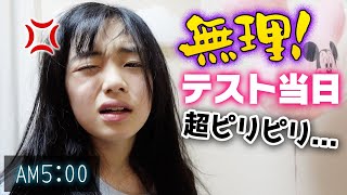 テスト当日は5時に起きて超イライラピリピリで早朝から勉強放課後帰宅して手応えは！？ [upl. by Oicnedurp]