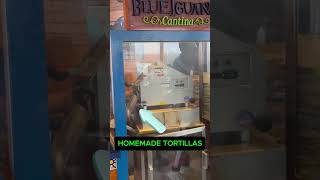 Carnival Cruise Dining  Blue Iguana Does this [upl. by Nylodam]