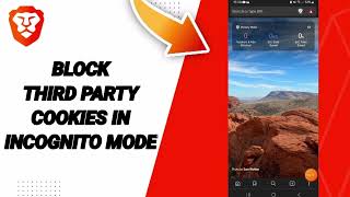 How To Block Third Party Cookies In Incognito Mode On Brave Private Web BrowserVPN App [upl. by Elkin]