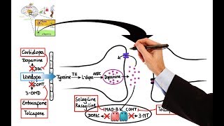 Pharmacology  DRUGS FOR PARKINSONS DISEASE MADE EASY [upl. by Onaivatco]