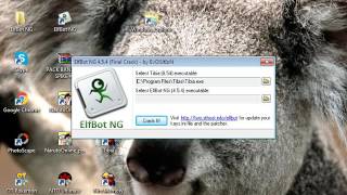 Como Instalar E CRackear O ElfBot 854 Sem Erro Acess Violation [upl. by Noterb]