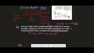 Physics  Light and Optics  Polarization of Light [upl. by Eillak]