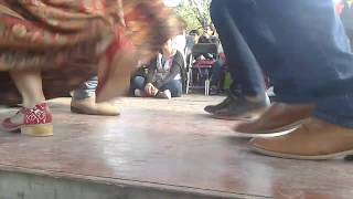 Son Jarocho con Los Vegas Baile Zapateado Veracruzano [upl. by Herculie516]