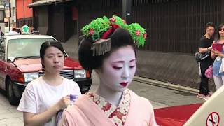 Maiko and her apprentice in Gion Kyoto Japan [upl. by Nalid]