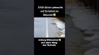 Erklärt es eurem Lehrer 🧐🤣 LAMI SussyEmily shortsyoutube shortvideo [upl. by Noedig]