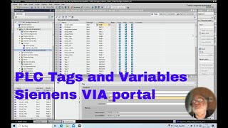 PLC IO Tags Siemens TIA Portal Export and Import copy from Excel4 [upl. by Trish663]