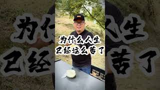 Farmlink Video 11 D24 XO榴莲 [upl. by Nunci]