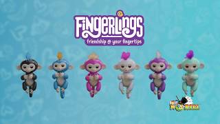 Jucarie interactiva Fingerlings de la Noriel [upl. by Ruvolo104]