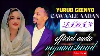 AWALE ADAN FT YURUB GEENYO NEW SONG LIBIN 2025 OFFICIAL MUSIC HD [upl. by Eeb]